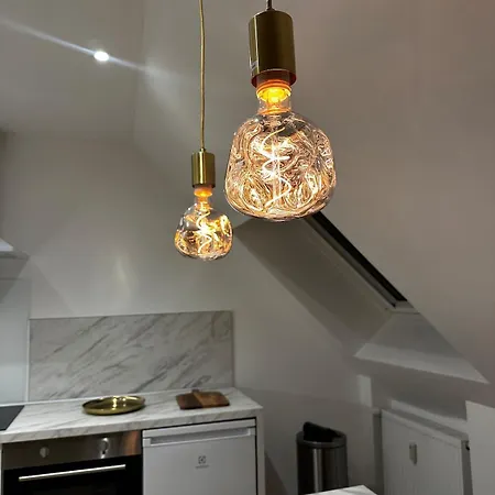 Bel Sous Comble Avec Cinema Apartment *